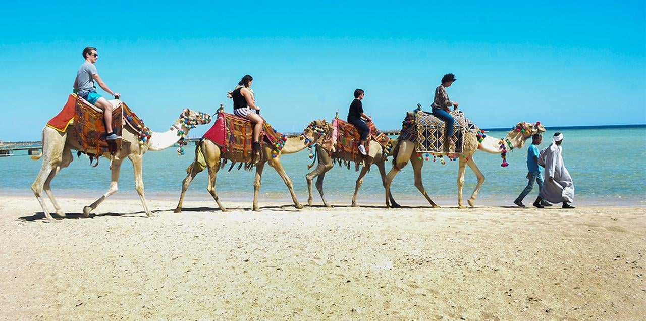 Marsa Alam: Sea and Desert Camel Riding Tour - Marsa Alam Sea (Photo 4)
