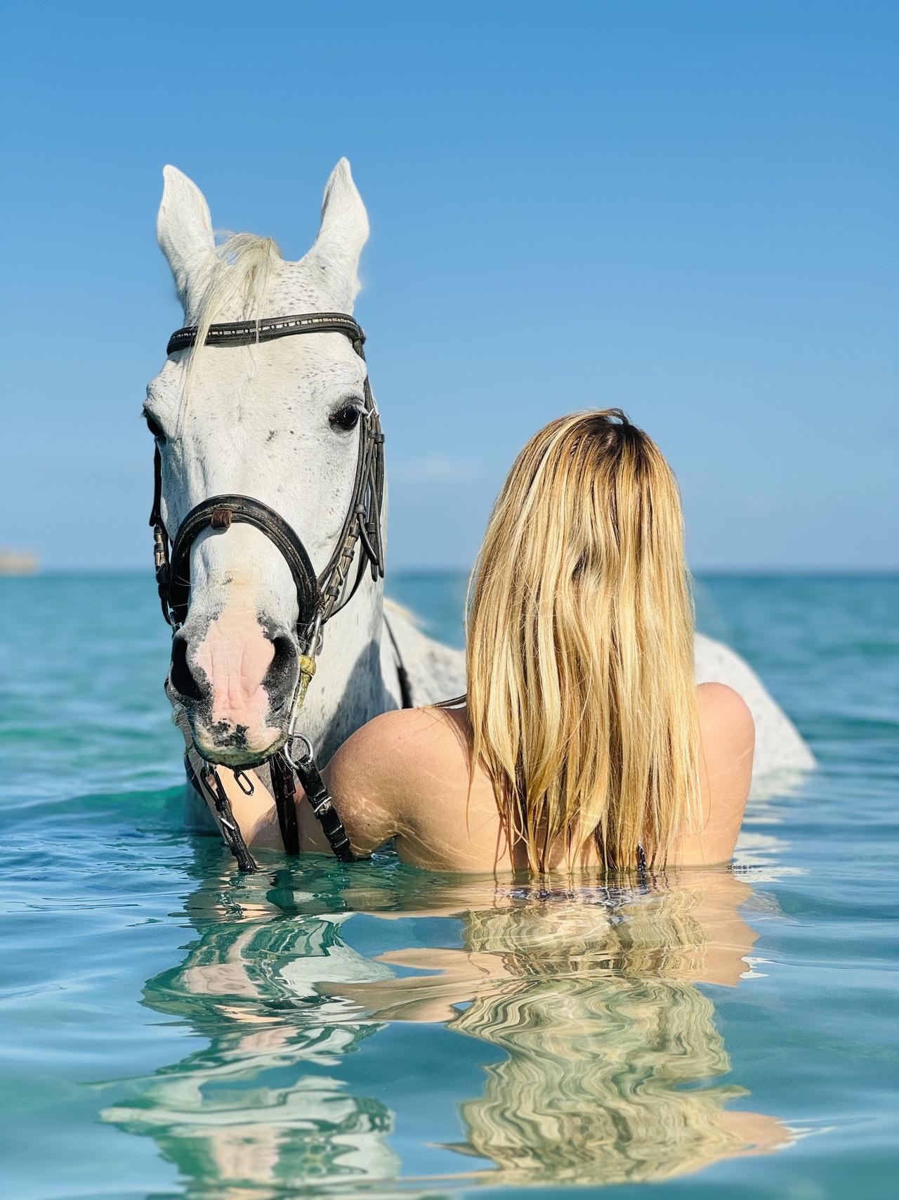 Hurghada: Desert & Sea Horse Riding Tour w/Optional Swimming - Hurghada Desert Sea (Photo 3)