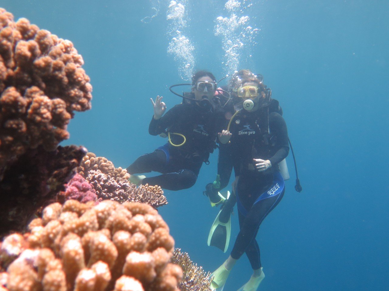 Hurghada: Full-Day Scuba Diving Tour with 2 Sites and Lunch - Hurghada Scuba Diving (Photo 4)