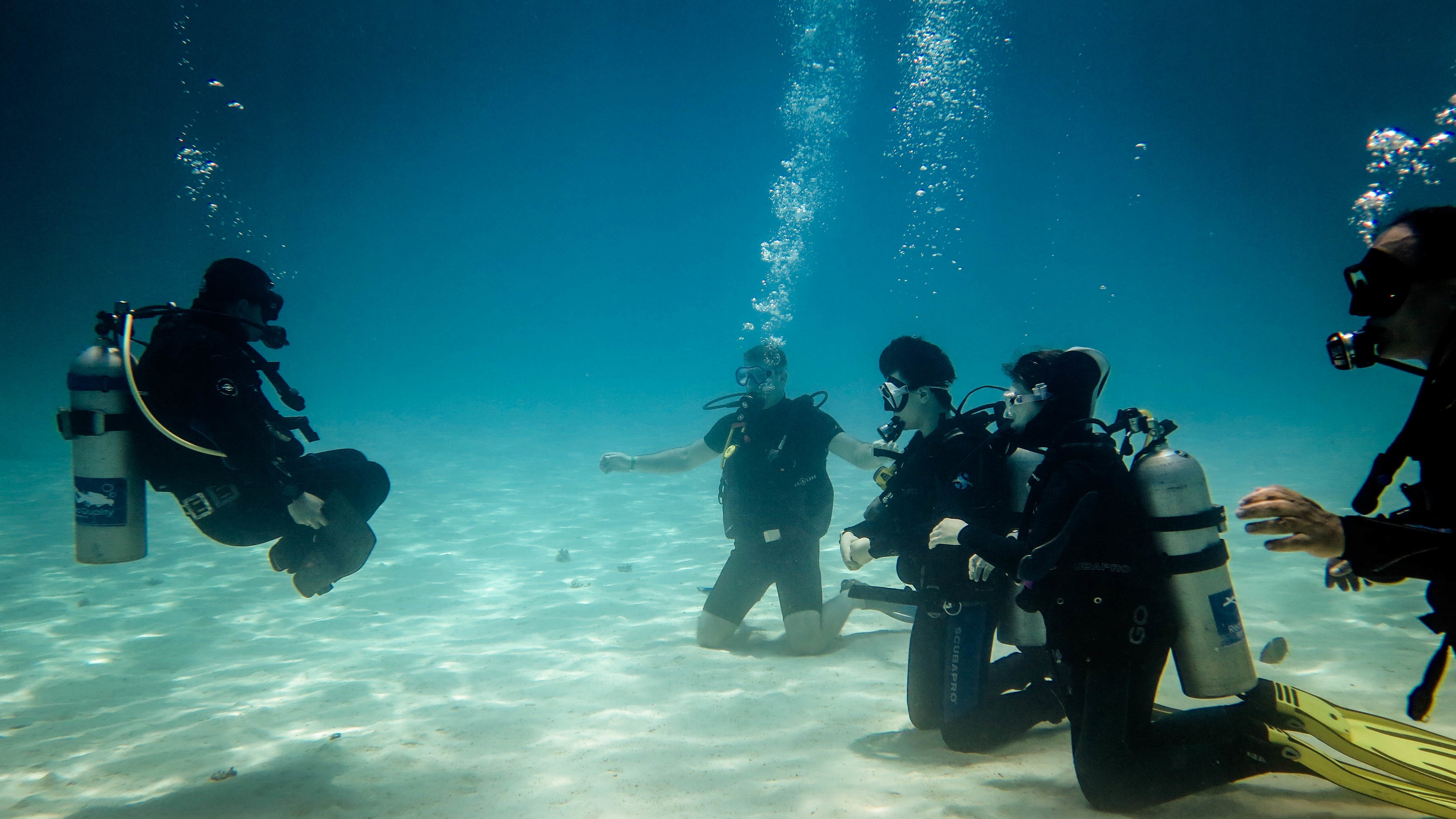 Hurghada: 3-Day PADI Open Water Diving Course - Hurghada Padi Open (Photo 3)