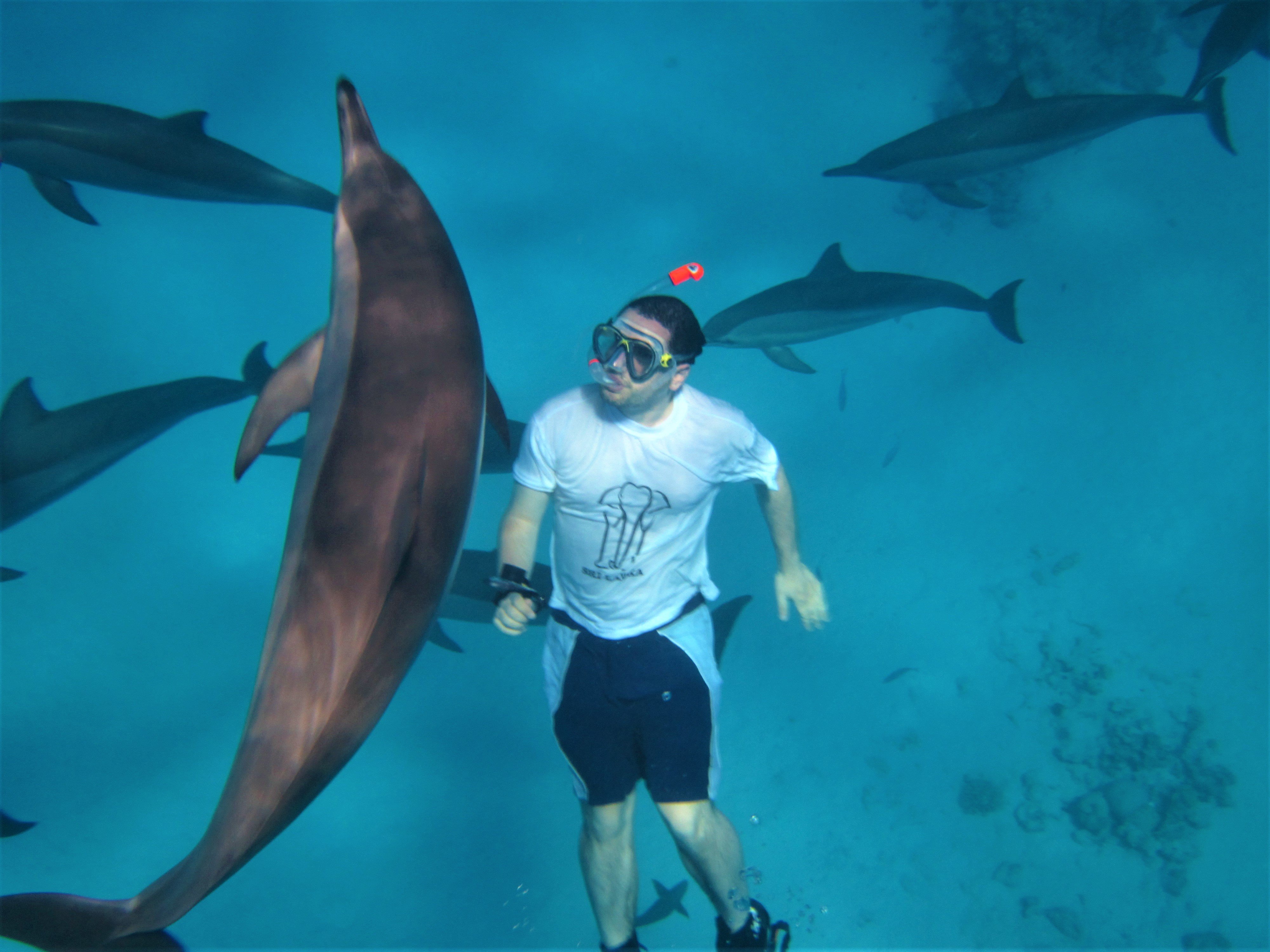 Hurghada: Speedboat, Dolphins, Snorkeling & 2 Islands - Hurghada Speedboat Dolphins (Photo 5)