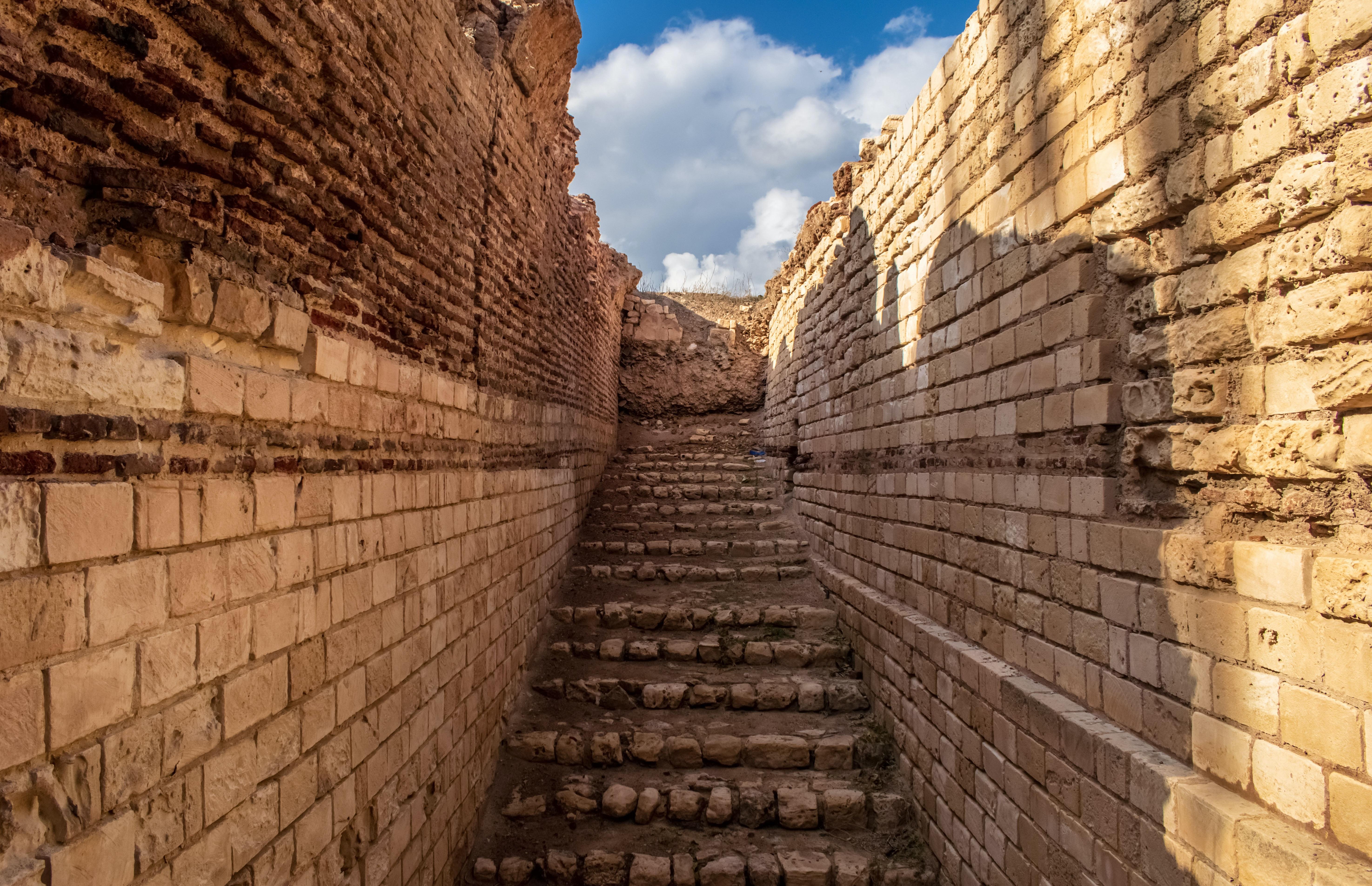 From Alexandria: Highlights of Alexandria Full City Tour - Alexandria Highlights City (Photo 2)