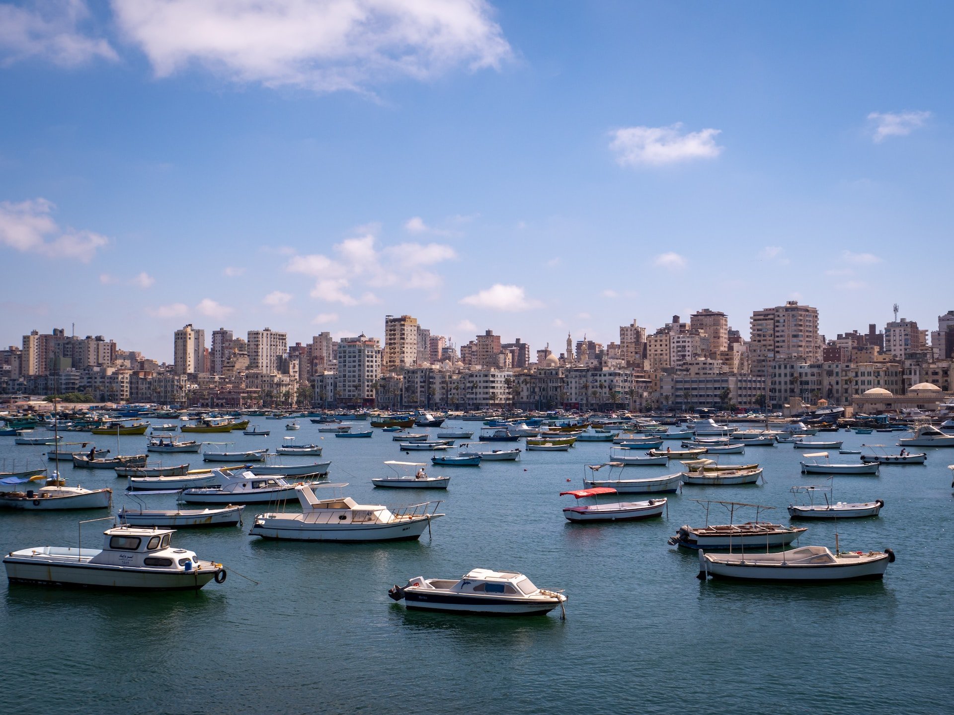 From Alexandria: Highlights of Alexandria Full City Tour - Alexandria Highlights City (Gallery Photo 8)