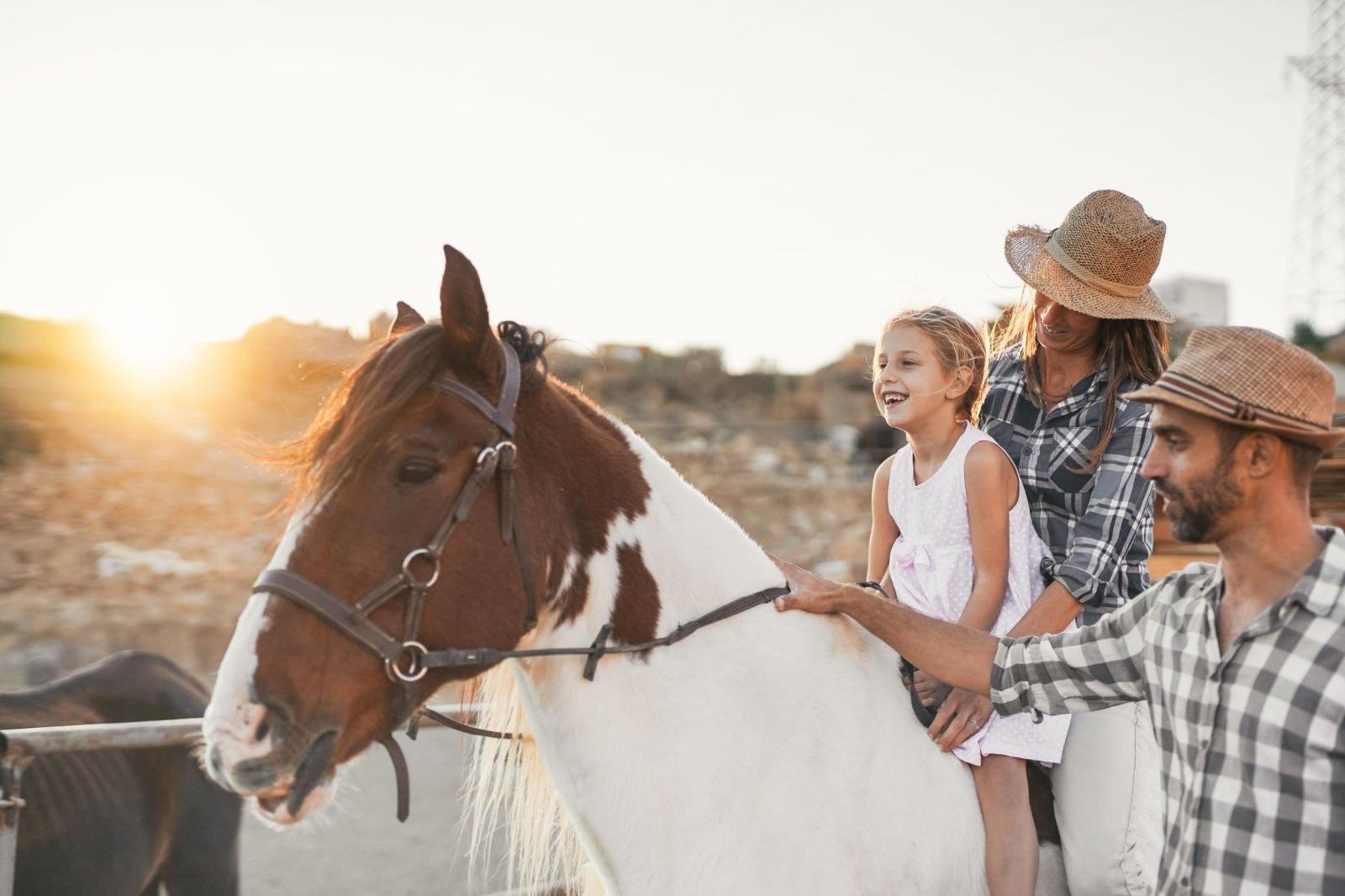 Red Sea: Horse Riding Beach and Desert Tour With Transfer - Hurghada Red Sea (Gallery Photo 7)