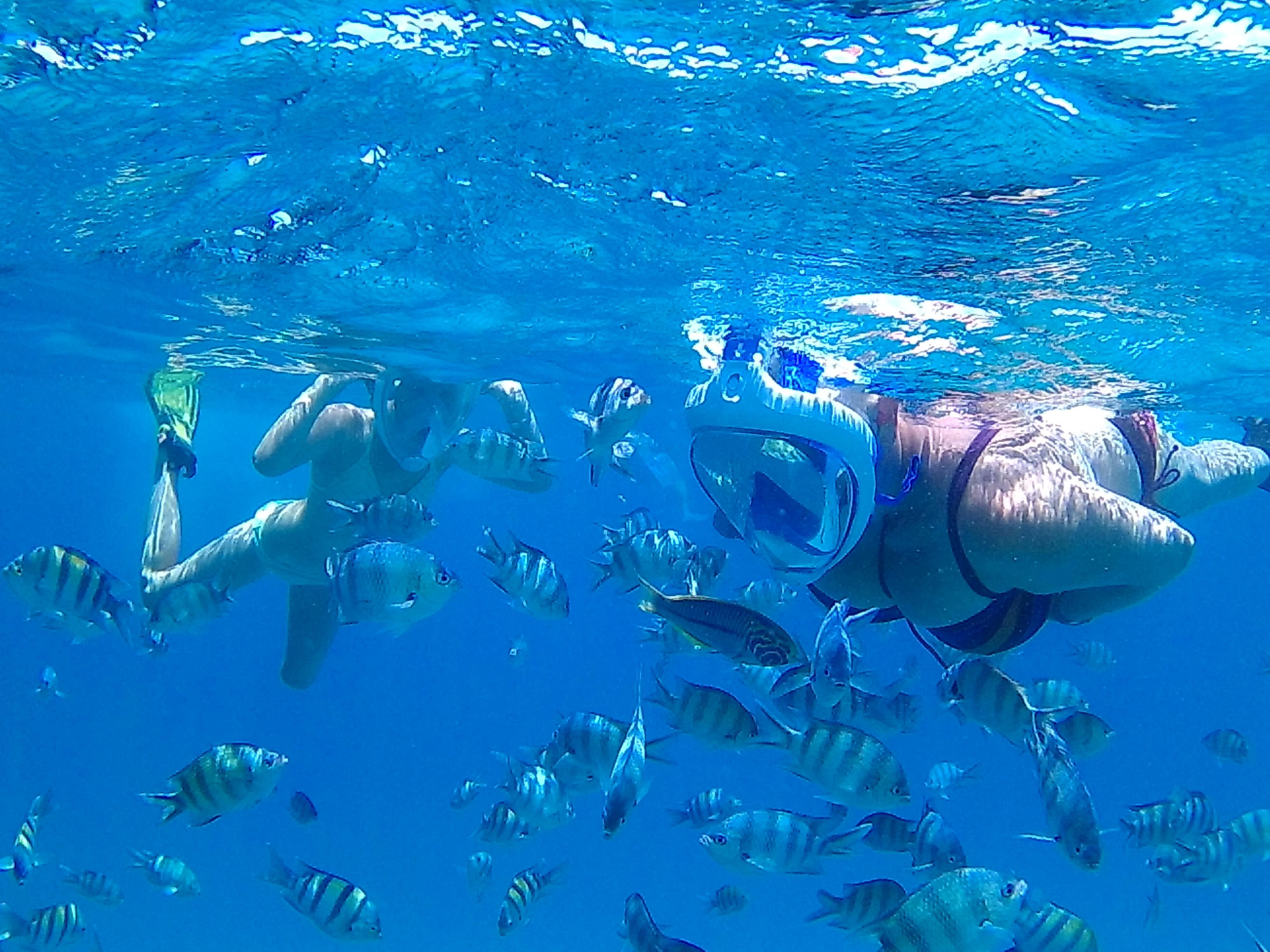 Hurghada: Luxury Giftun island w/snorkeling/lunch & Massage - Hurghada Giftun Island (Photo 4)