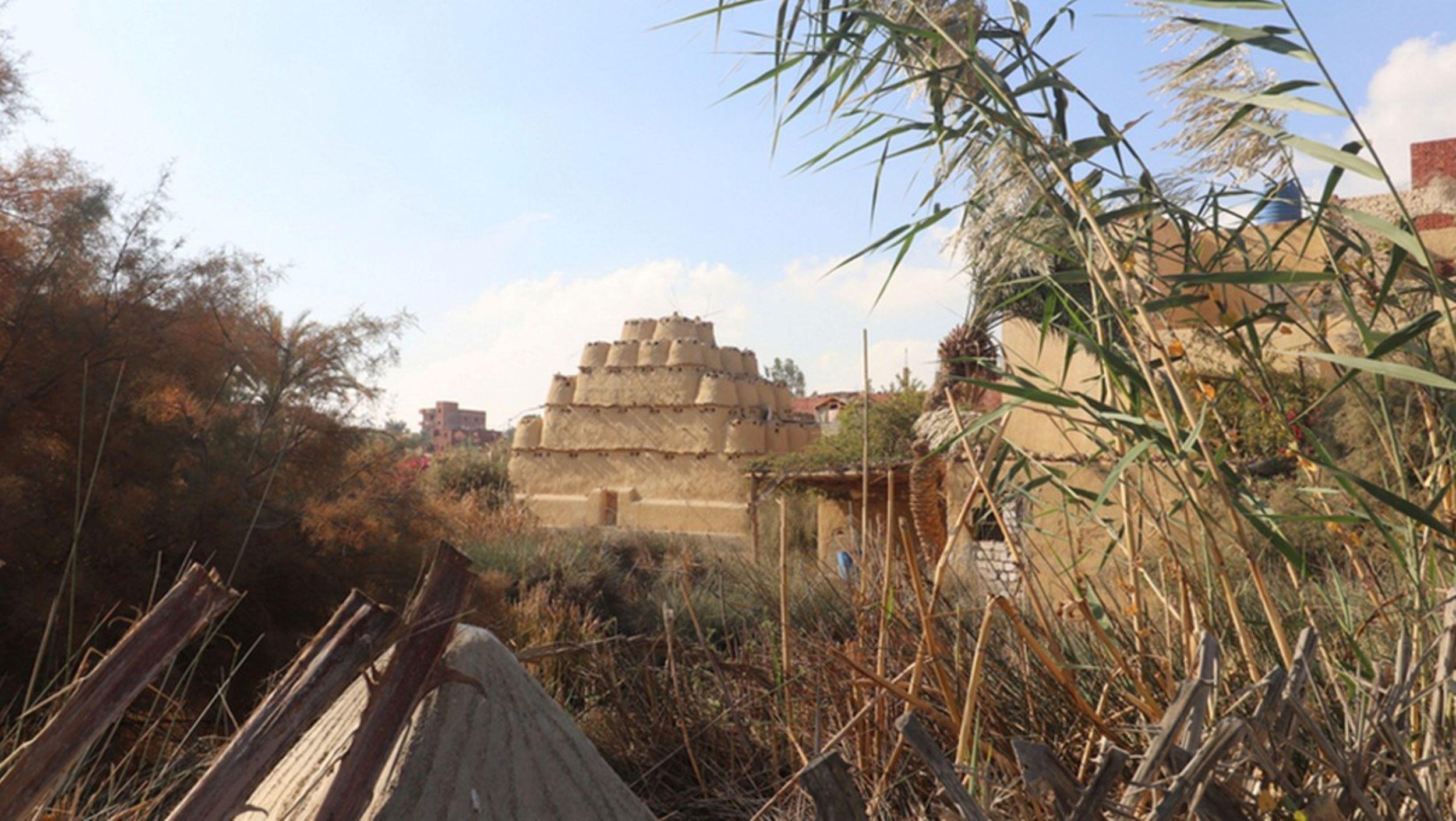 Cairo: Fayoum, Wadi El Rayan, and Wadi al Hitan 4×4 Tour - Cairo Fayoum Wadi (Gallery Photo 6)