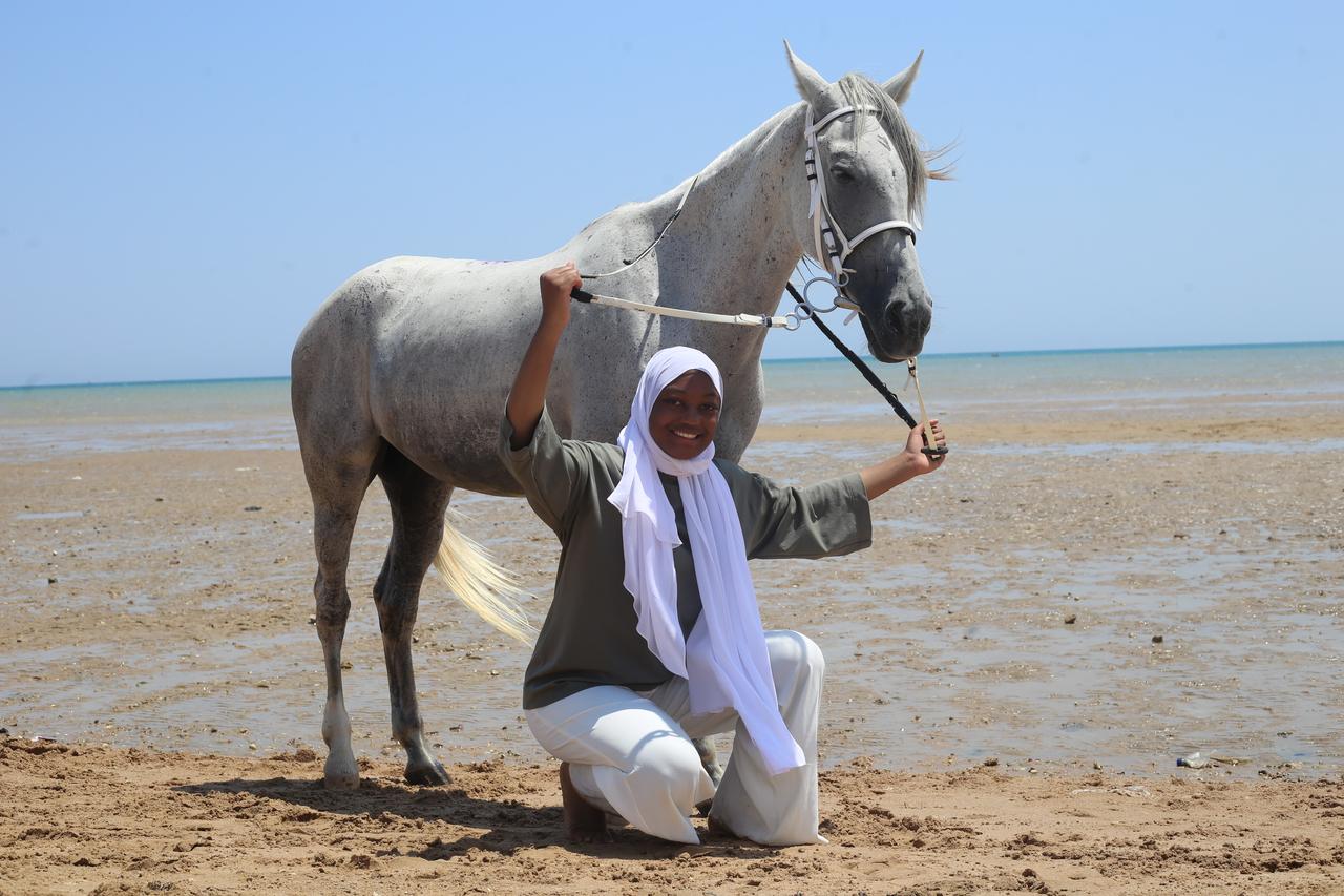 Hurghada: Morning or Sunset Horse Riding & Swimming - Hurghada Morning Sunset (Gallery Photo 6)