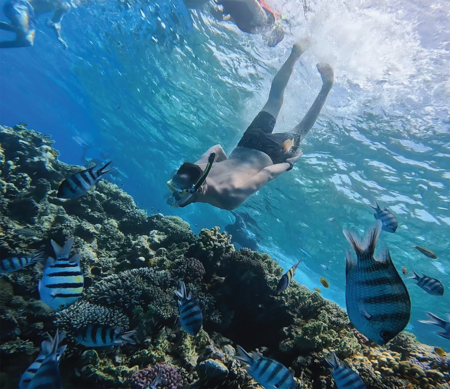 Premium Cruise To Giftun Island with Lunch & Transfer - Hurghada Premium Cruise (Photo 2)