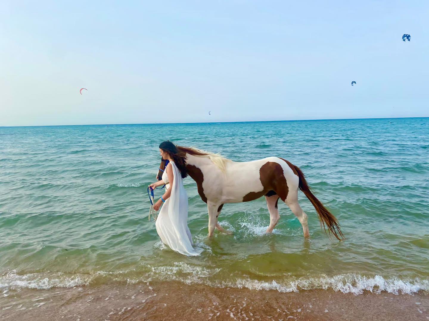 Red Sea: Horse Riding Beach and Desert Tour With Transfer - Hurghada Red Sea (Photo 5)