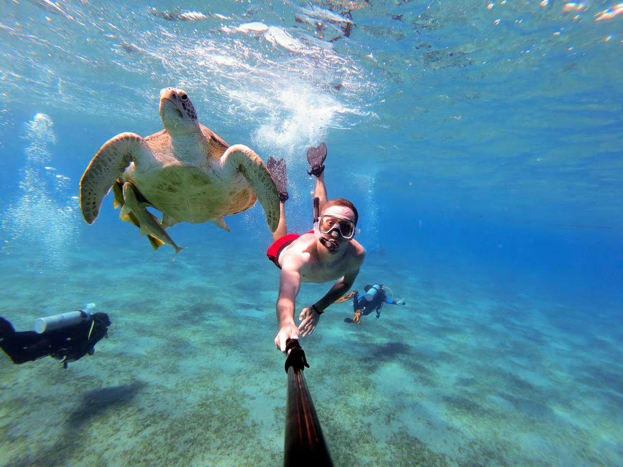 Marsa Alam: Snorkelling with Sea Turtles Marsa Mubarak - Marsa Alam Snorkelling (Gallery Photo 7)