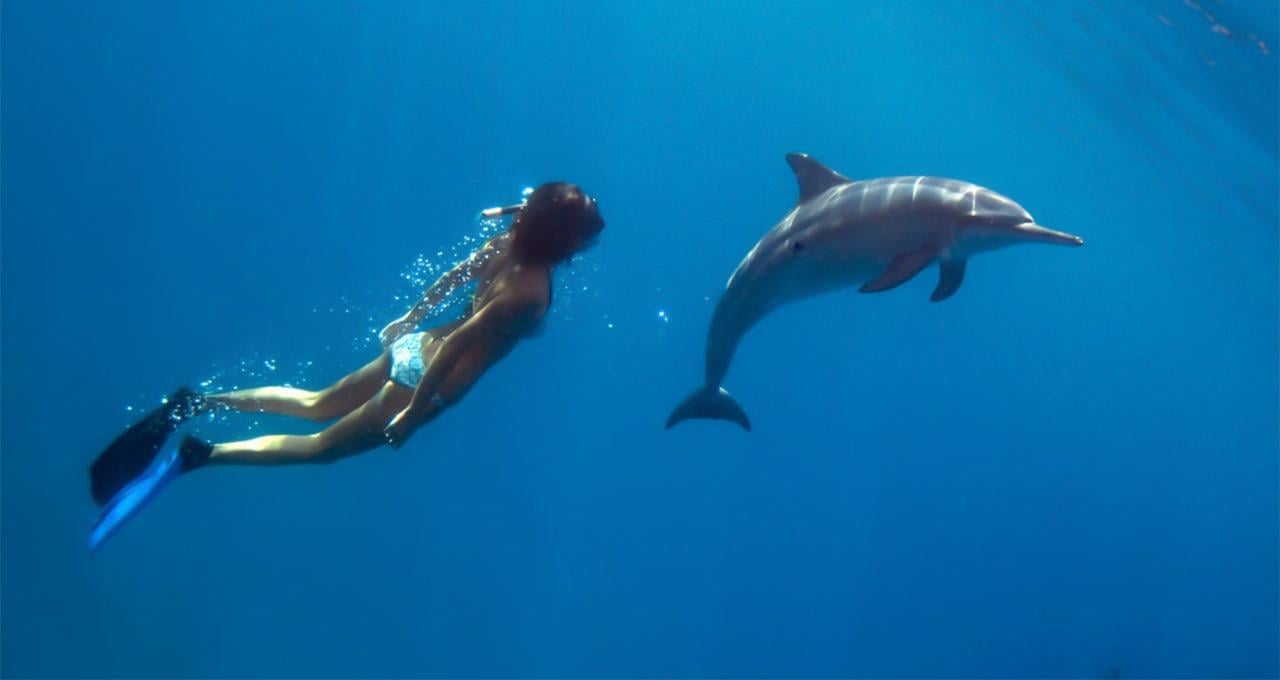 Hurghada: Dolphin watch Cruise with optional pickup - Hurghada Dolphin Watch (Gallery Photo 8)