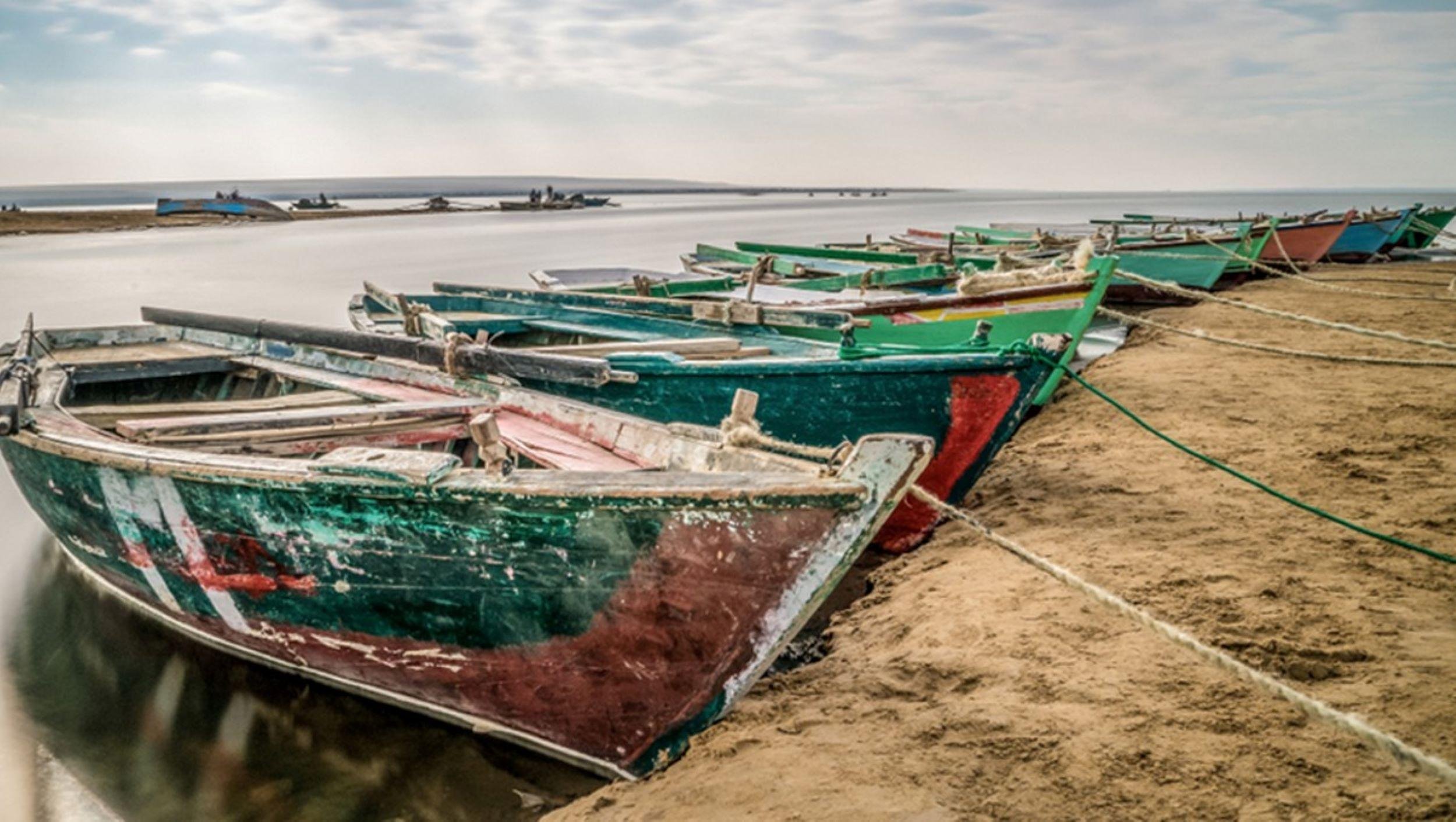 Cairo: Fayoum, Wadi El Rayan, and Wadi al Hitan 4×4 Tour - Cairo Fayoum Wadi (Photo 5)