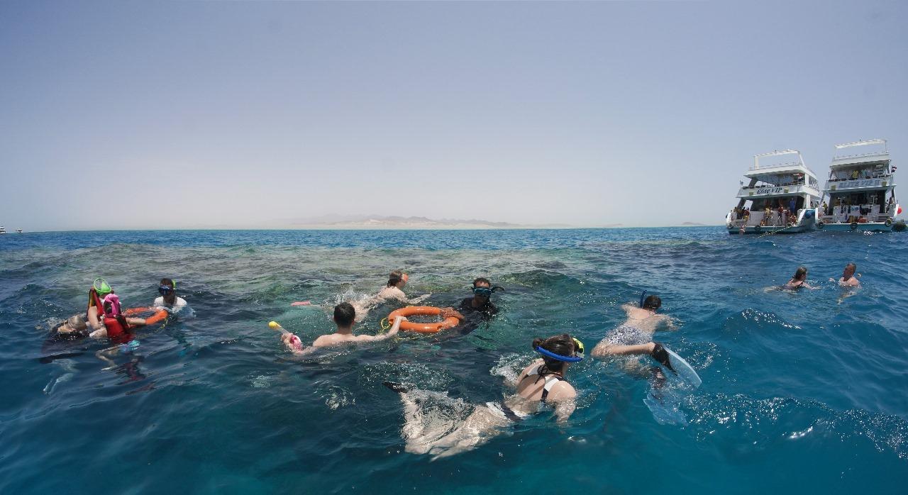 From Sharm: Half day Snorkeling Trip with Lunch - Sharm Snorkeling (Gallery Photo 6)