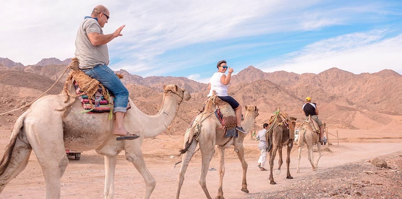 Marsa Alam: Sea and Desert Camel Riding Tour - Marsa Alam Sea (Gallery Photo 7)