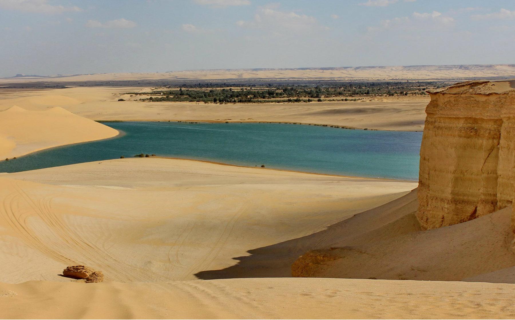 From Cairo: Full-Day Tour to El Fayoum - Cairo Fayoum (Photo 5)