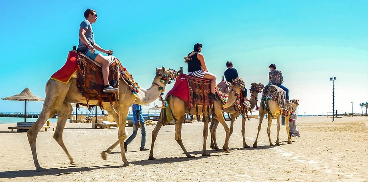 Marsa Alam: Sea and Desert Camel Riding Tour - Marsa Alam Sea (Photo 3)
