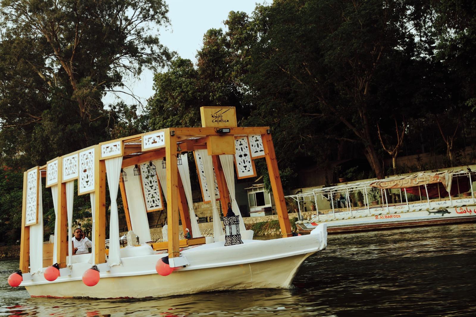 Cairo: Private Felucca Ride with Dinner and Drinks - Cairo Felucca Ride (Photo 3)