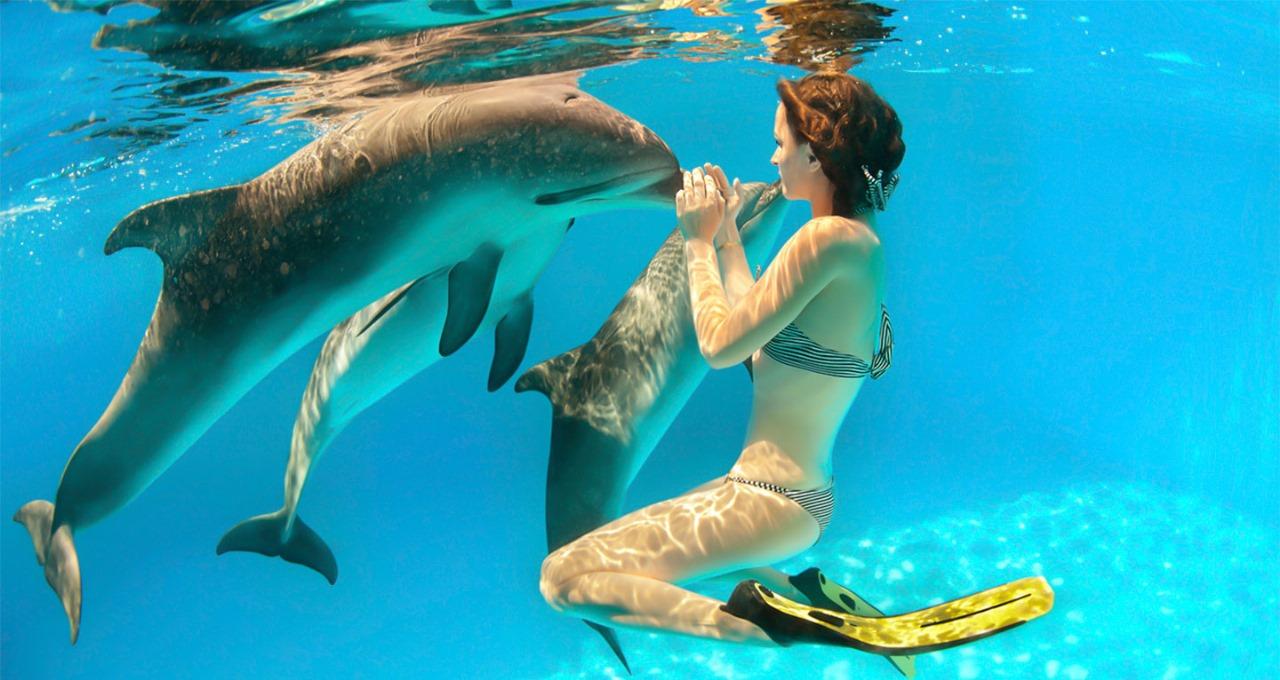 Hurghada: Dolphin watch Cruise with optional pickup - Hurghada Dolphin Watch (Photo 4)
