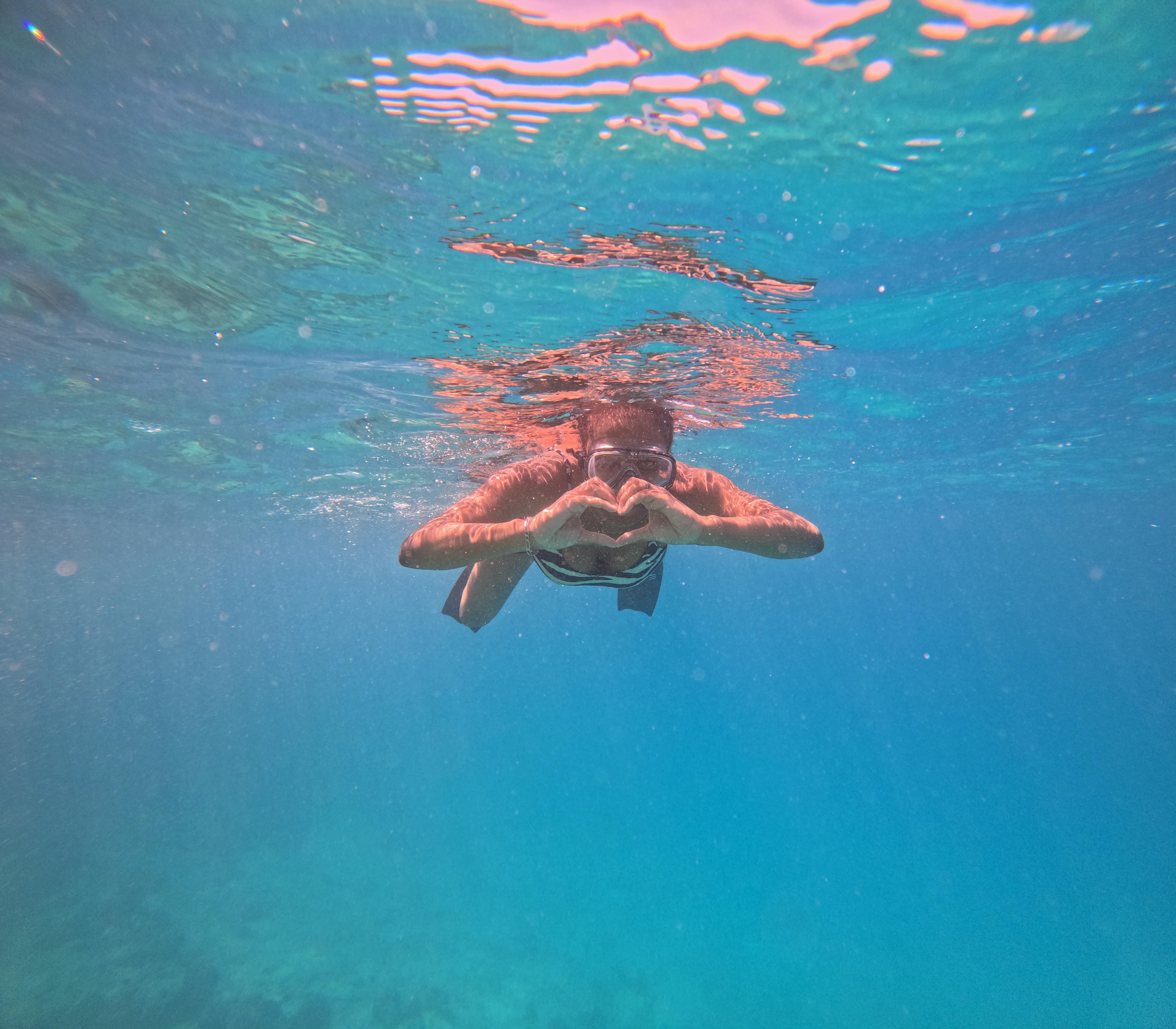 Hurghada: Dolphin House Yacht Trip & Chance to Swim Near Dolphins & Lunch - Hurghada Dolphin House (Gallery Photo 8)