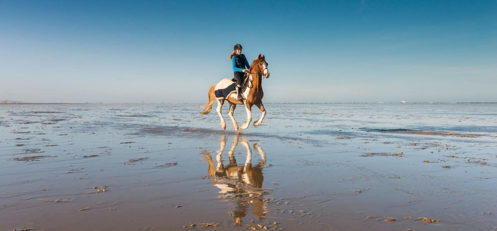 Red Sea: Horse Riding Beach and Desert Tour With Transfer - Hurghada Red Sea (Photo 4)