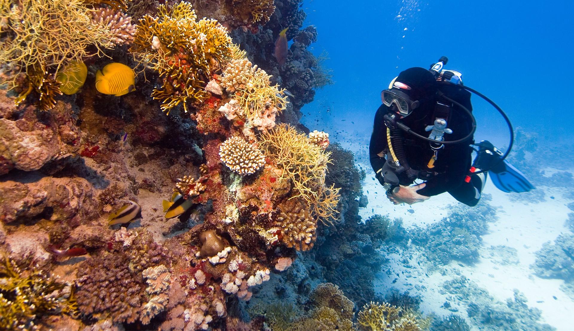 Hurghada: 3-Day PADI Open Water Diving Course - Hurghada Padi Open (Gallery Photo 6)