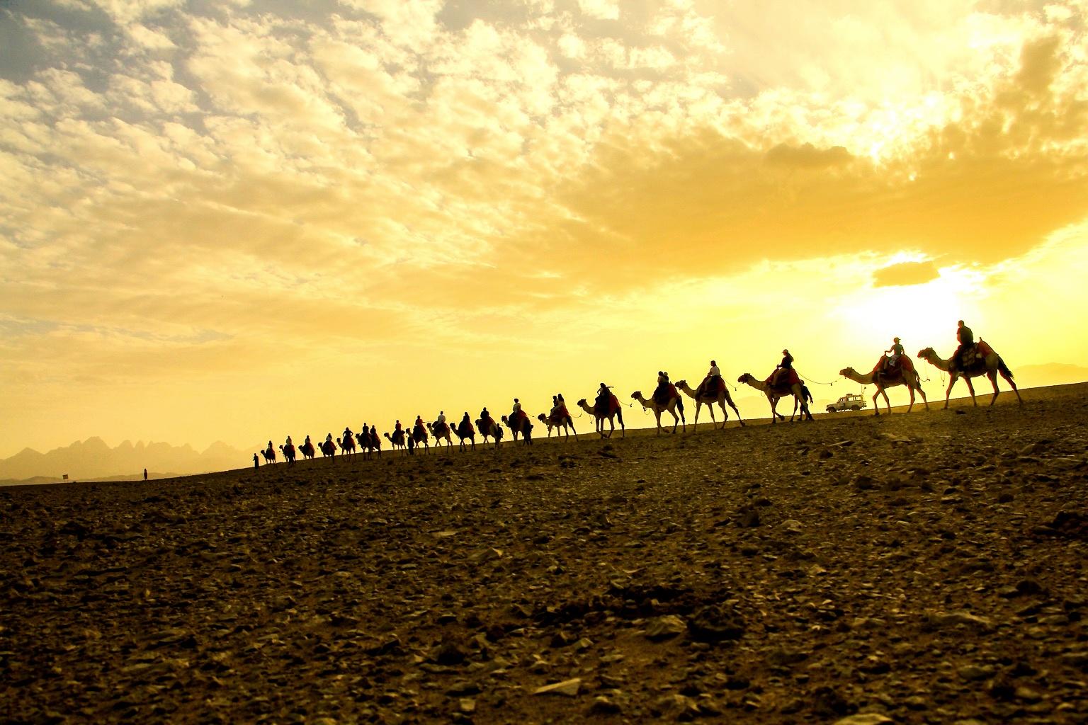 Hurghada: Oasis sunset with Camel Ride & stars - Hurghada Oasis Sunset (Photo 3)