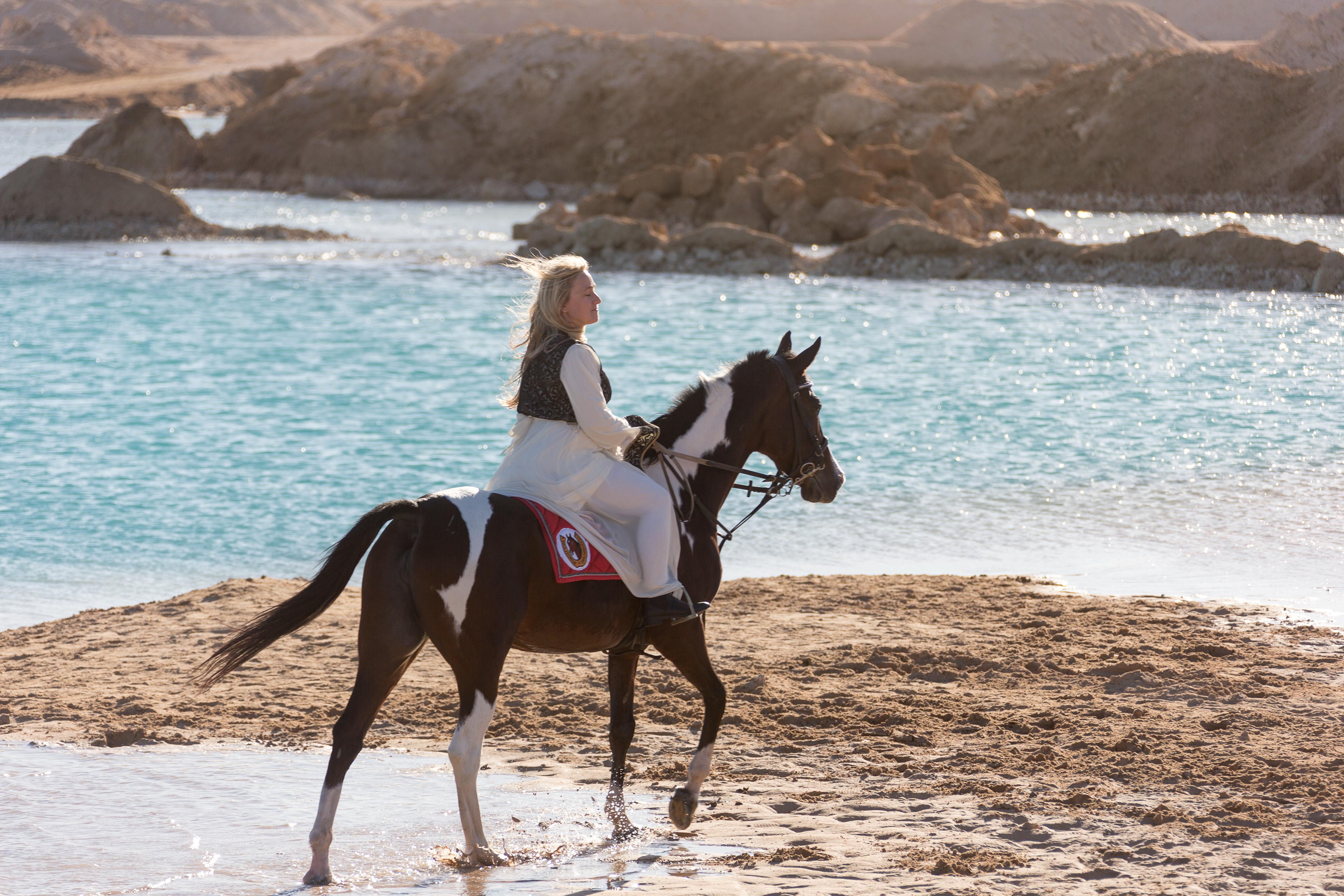 Sahl Hasheesh: Desert & Sea Horse Ride w/Optional Swimming - Hurghada Sahl Hasheesh (Gallery Photo 6)