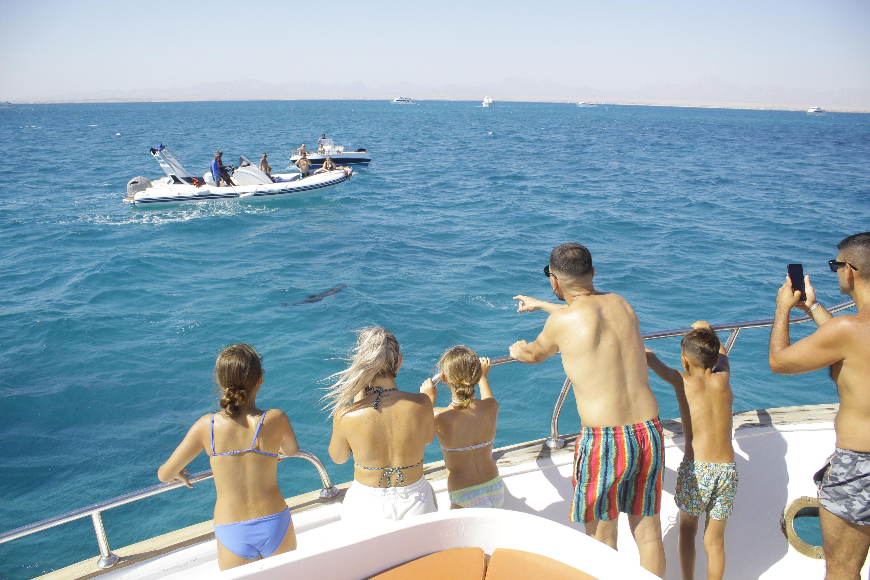 Hurghada: 5-Hours Sunset Dolphin House Snorkeling with Lunch - Hurghada Hours Sunset (Photo 3)