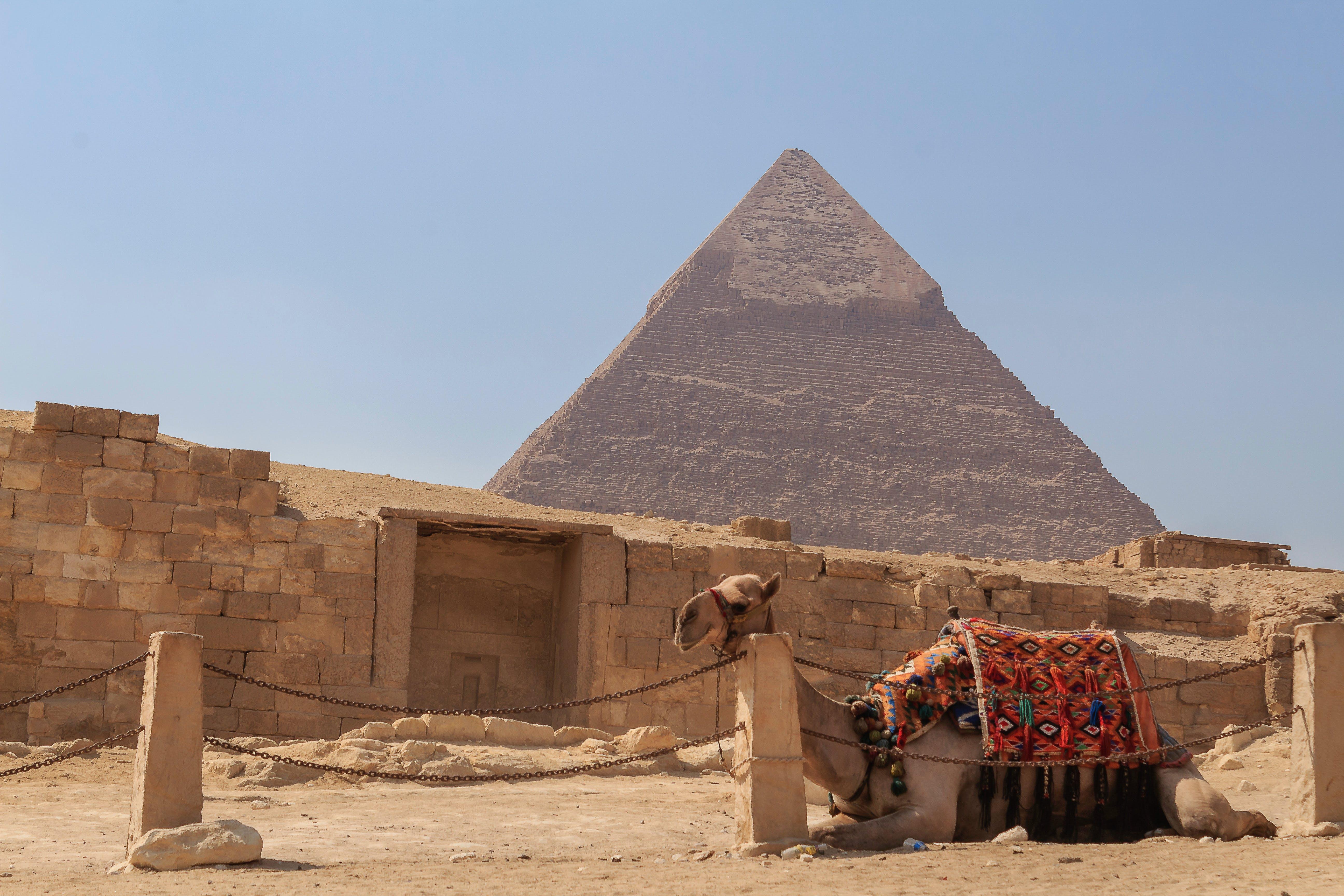 Cairo: Pyramids, Sphinx & Grand Egyptian Museum Private Tour - Cairo Pyramids Sphinx (Gallery Photo 8)