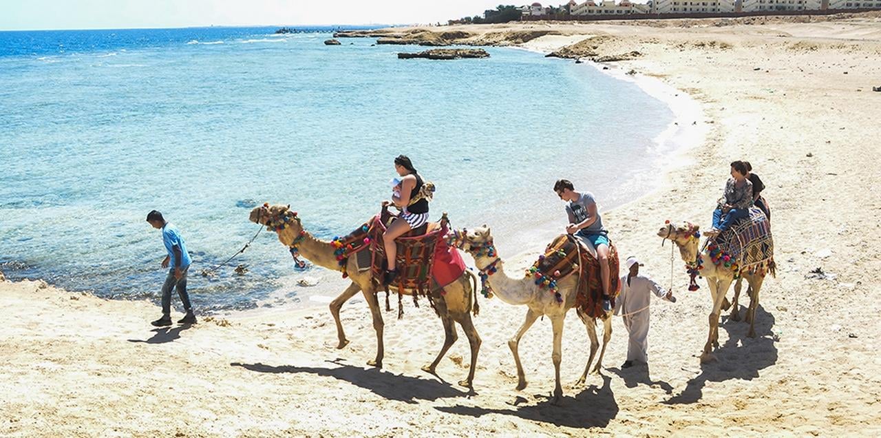 Marsa Alam: Sea and Desert Camel Riding Tour - Marsa Alam Sea (Photo 5)