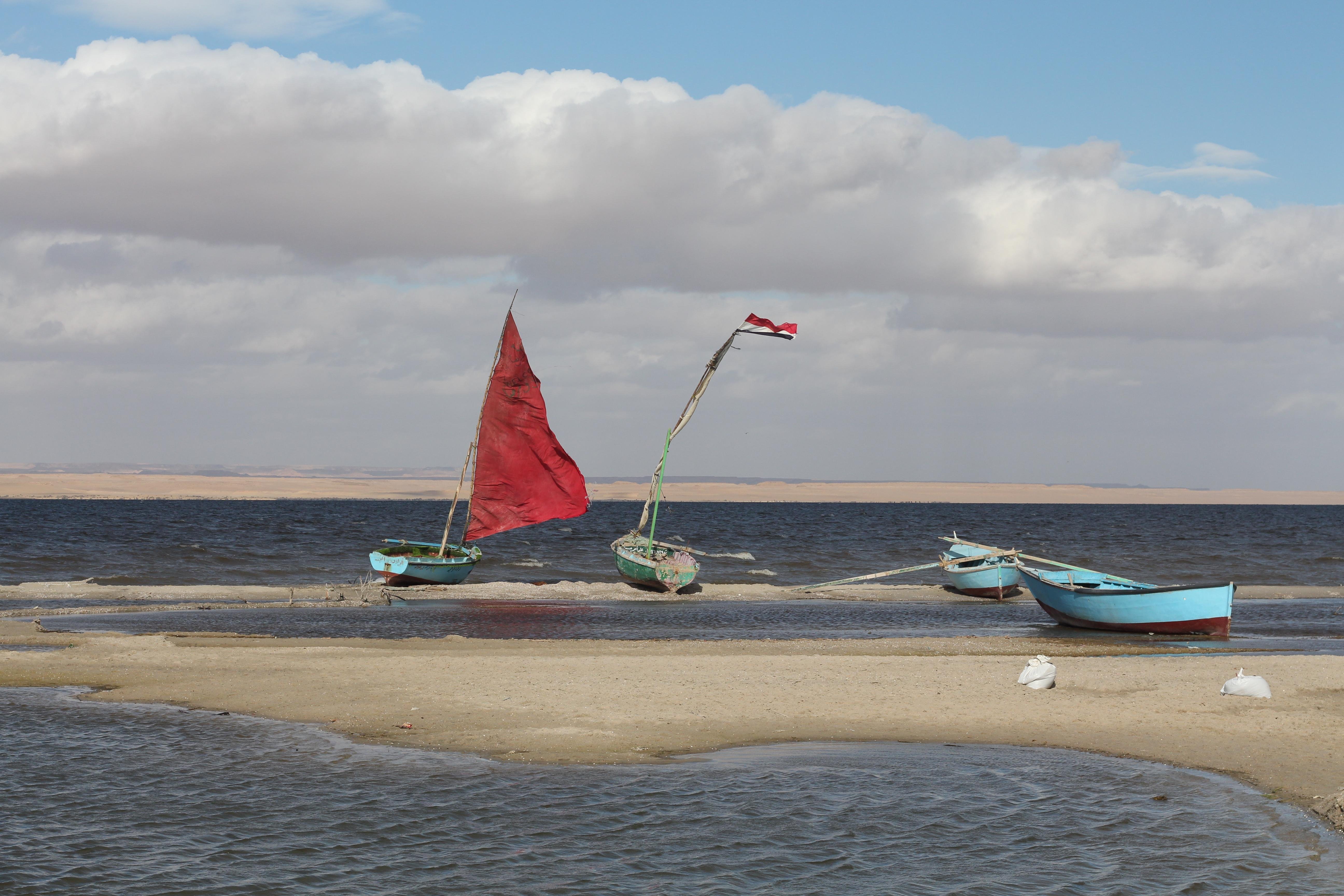 From Cairo: Full-Day Tour to El Fayoum - Cairo Fayoum (Gallery Photo 7)