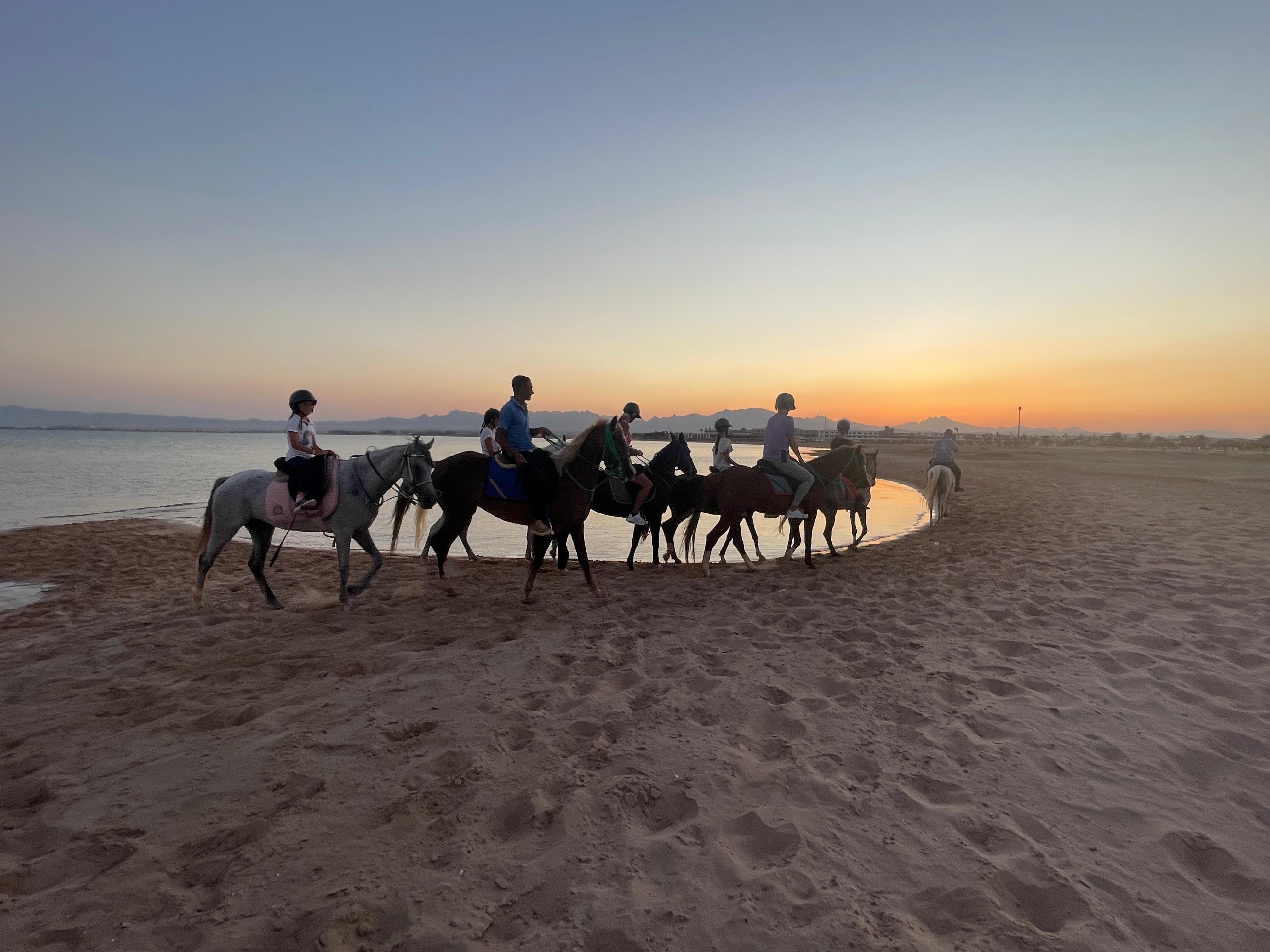 Red Sea: Horse Riding Beach and Desert Tour With Transfer - Hurghada Red Sea (Gallery Photo 6)