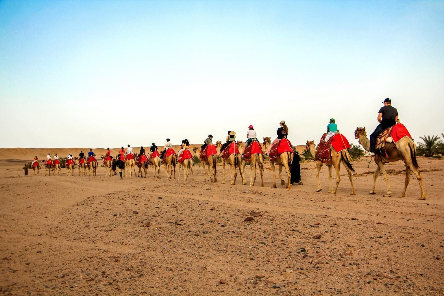 Hurghada: Oasis sunset with Camel Ride & stars - Hurghada Oasis Sunset (Gallery Photo 7)