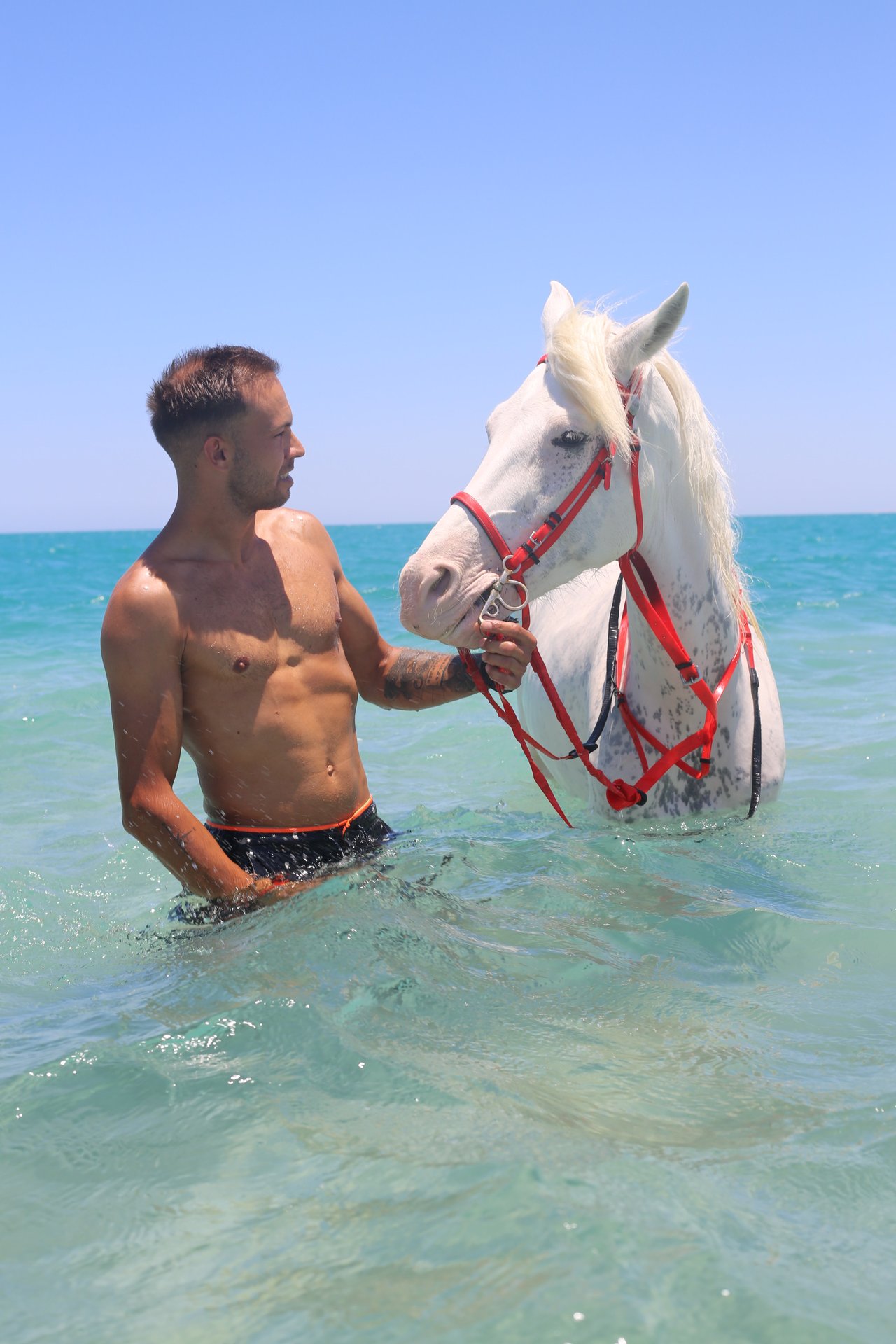 Hurghada: Morning or Sunset Horse Riding & Swimming - Hurghada Morning Sunset (Photo 3)