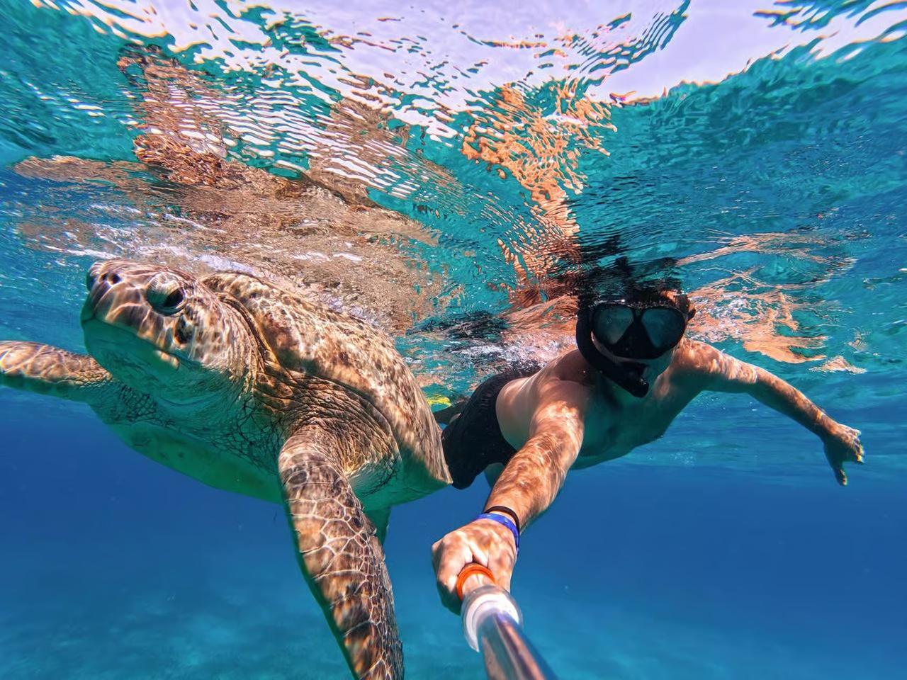 Marsa Alam: Snorkelling with Sea Turtles Marsa Mubarak - Marsa Alam Snorkelling (Photo 3)