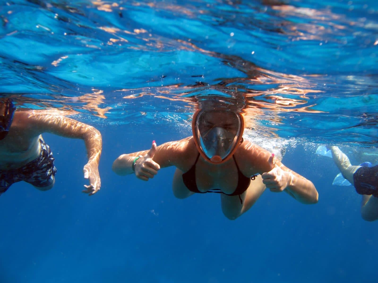 From Sharm: Half day Snorkeling Trip with Lunch - Sharm Snorkeling (Photo 4)