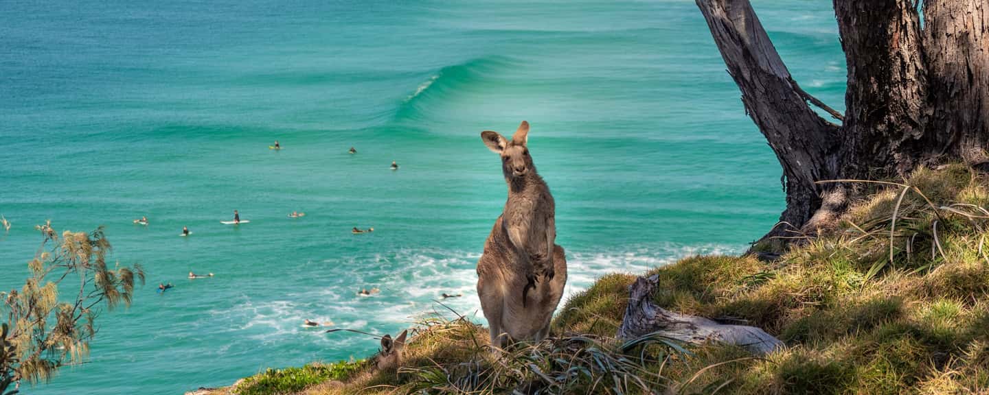 Queensland Travel Guide | Insider tips, hidden gems, itineraries and more
