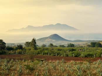 Mexico