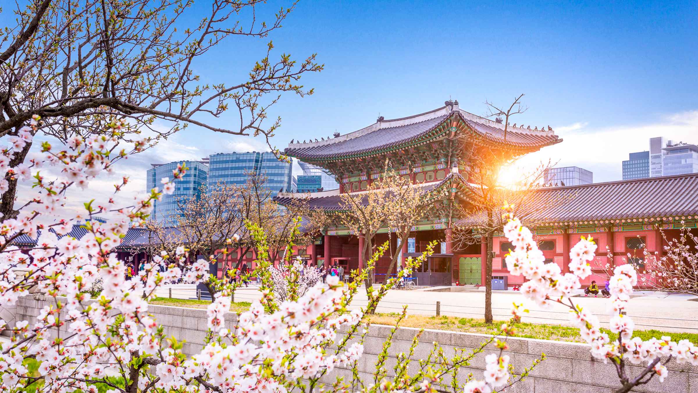  South  Korea  2022 Top 10 Tours Trips Activities with 