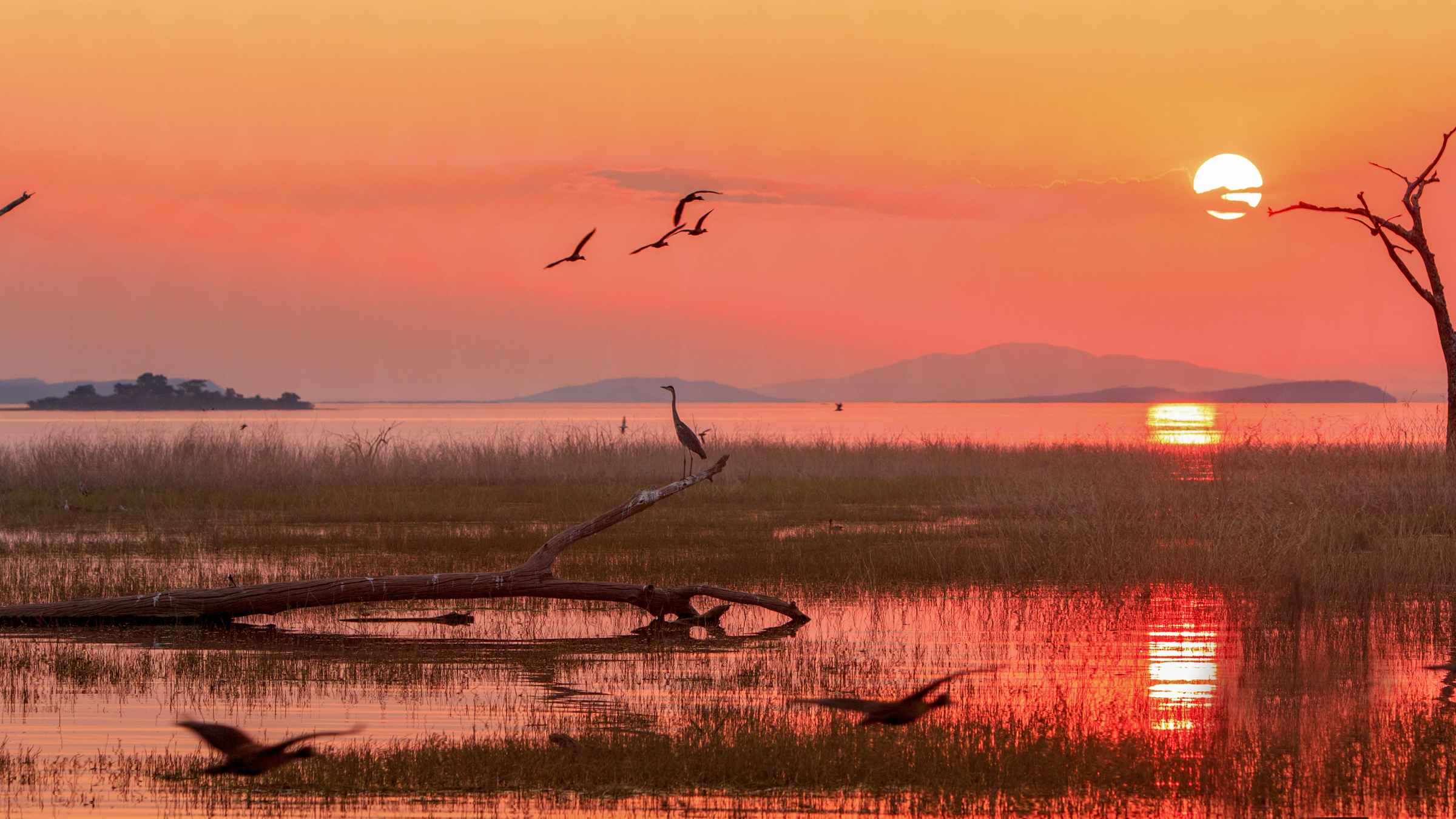 The BEST Zimbabwe Tours And Things To Do In 2022 FREE Cancellation 
