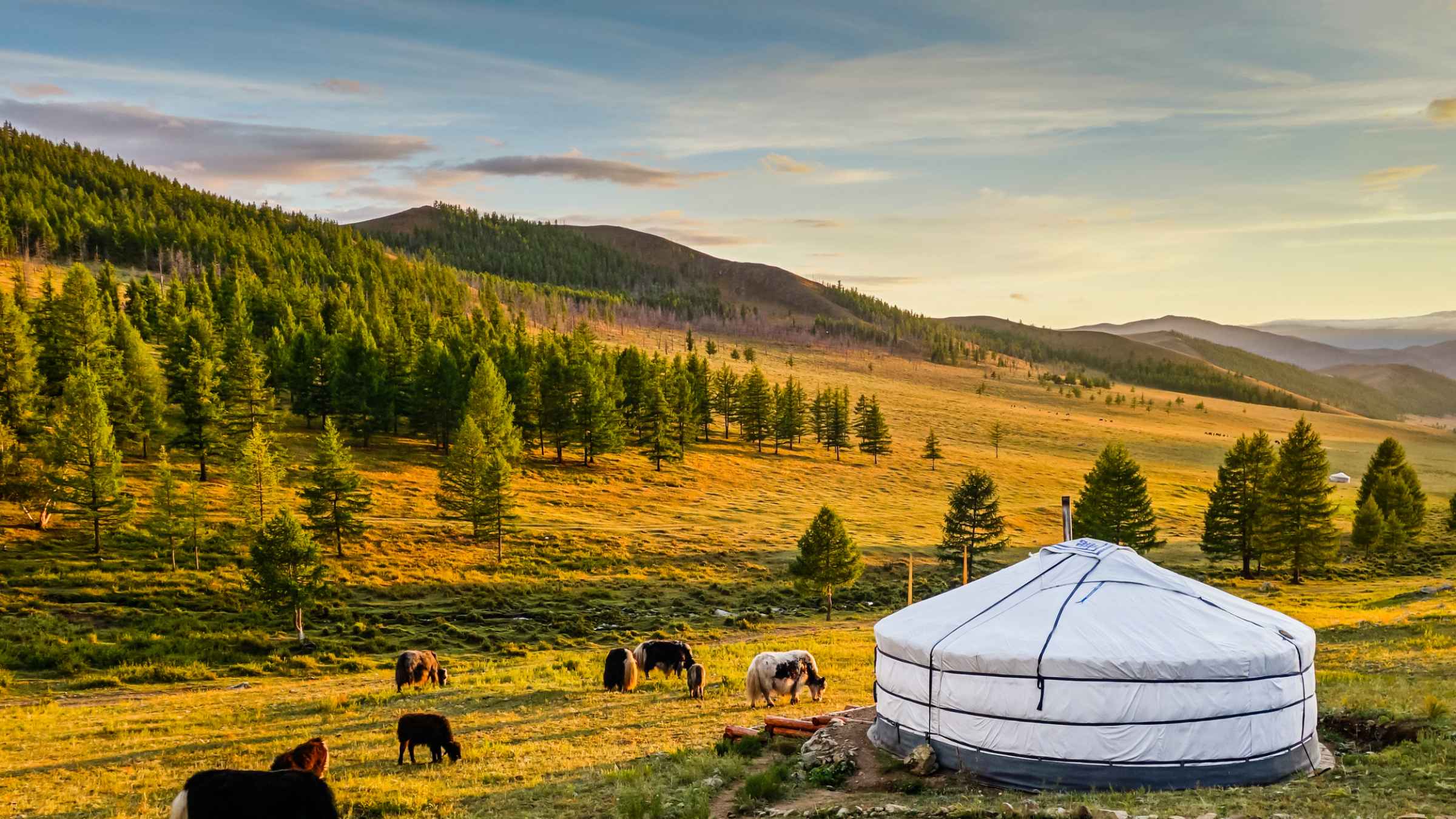 cool places to visit in mongolia