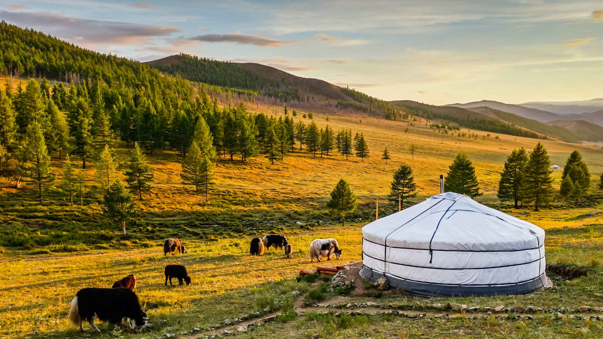 travel tours to mongolia