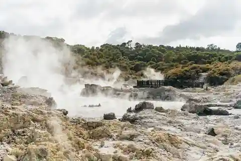 6. Hells Gate Geothermal Reserve
