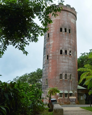 Foresta Nazionale di El Yunque