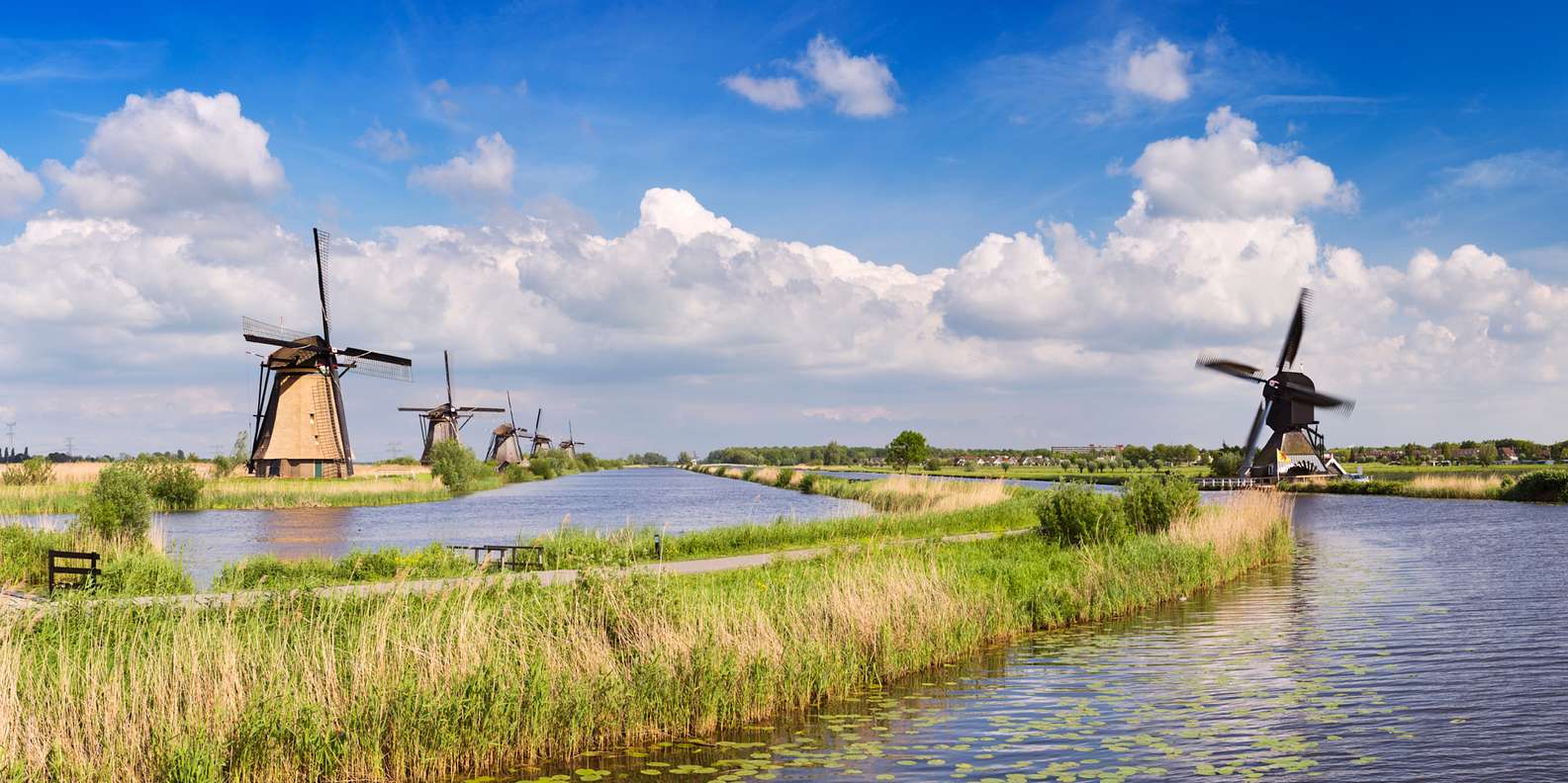 Kinderdijk: cosas que hacer y que ver - Mejores actividades en 2025 ...