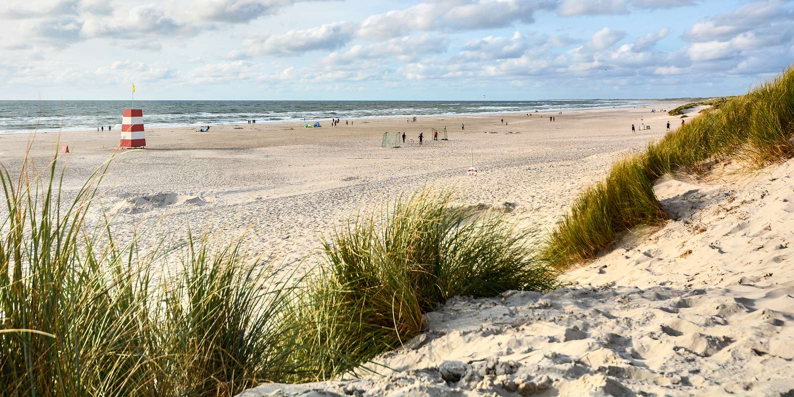 The BEST Rømø Tours and Things to Do in 2023 - FREE Cancellation ...