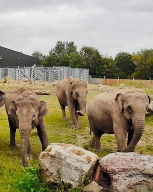 Blackpool Zoo