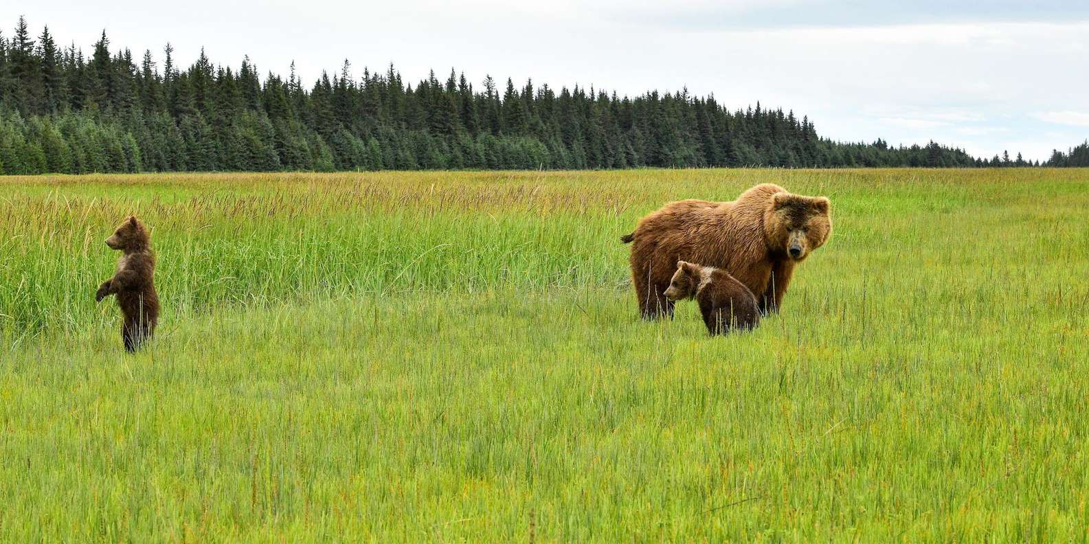 Kenai Peninsula Borough Alaska De BESTE Tours En Dingen Om Te Doen In   99 