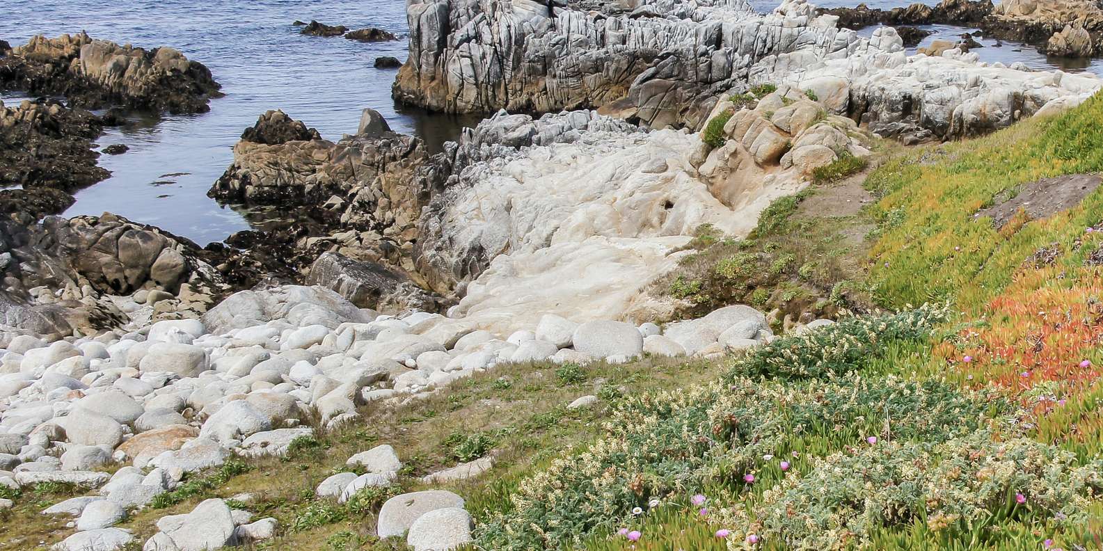 TOP Plaża stanowa Asilomar, Pacific Grove Zabytki i pomniki 2024 ...