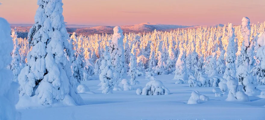 Riisitunturi National Park